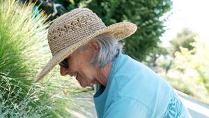 Volunteer weeds in the Hummingbird GATEway Garden