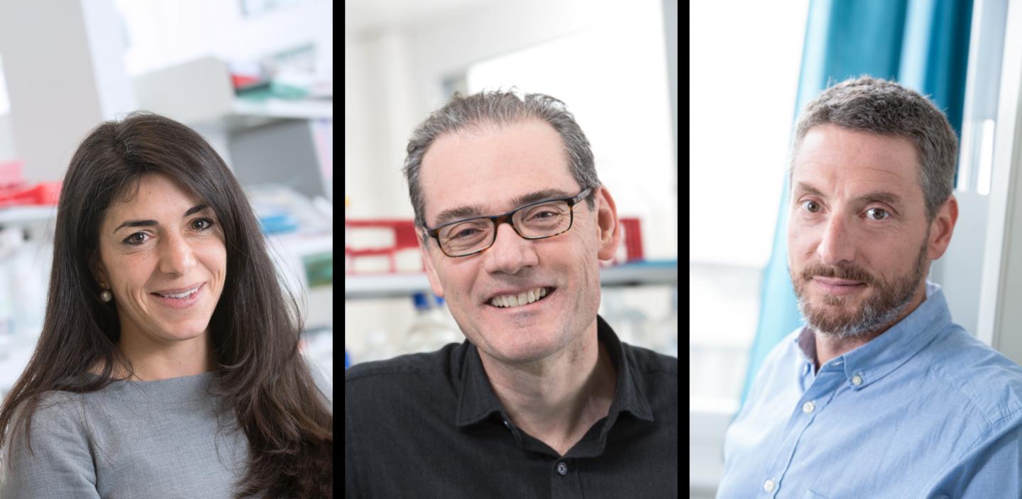 Lana Kandalaft, George Coukos and Alexandre Harari, Ludwig Institute for Cancer Research