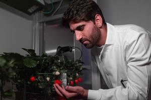 Dr Showkat Ganie, senior research officer prepares to 3D model a plant