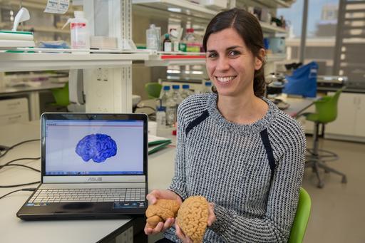 Nature and Nurture: Human Brains Evolved to be More Responsive to Environmental, Social and Cultural Influences