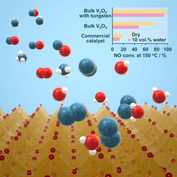 Tungsten-Substituted Bulk Vanadium Oxide at Work