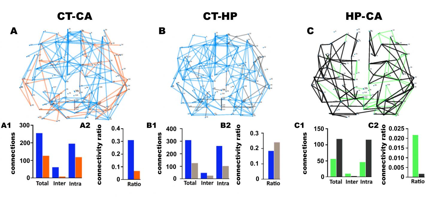 Display and quantification of the DWI base matrices comparison