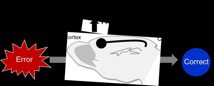 Hirofumi Morishita Graphic