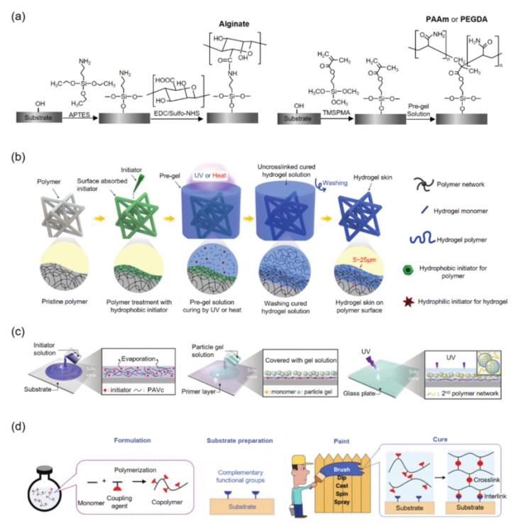 Figure 1. Hydrogel coating methods.