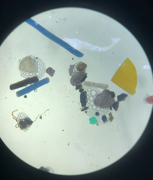 Microplastics