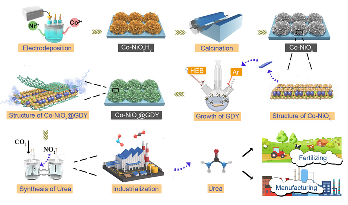 Schematic representation of the synthesis routes of Co–NiOx@GDY.