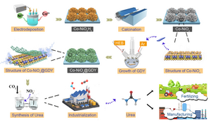 Schematic representation of the synthesis routes of Co–NiOx@GDY.