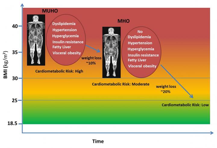 Cardiometabolic Risk MUHO - MHO