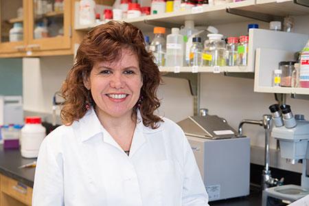 Giuliana Noratto, Washington State University