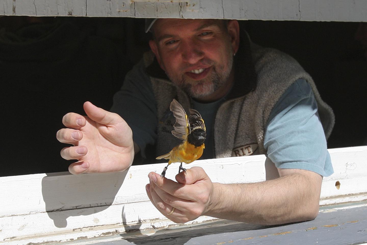 Bird Observatory Release