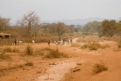 Farming in Sub-Saharan Africa