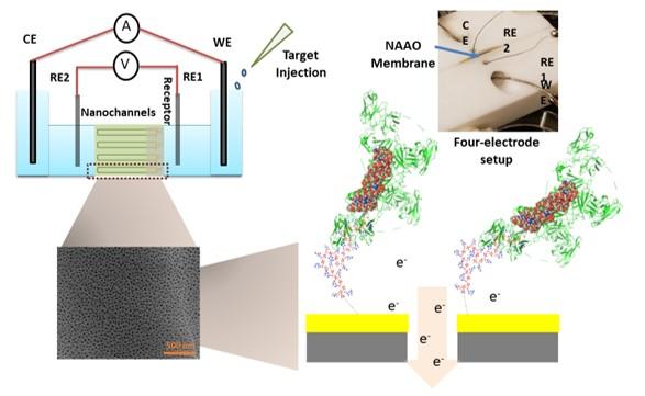 Ebola sensor