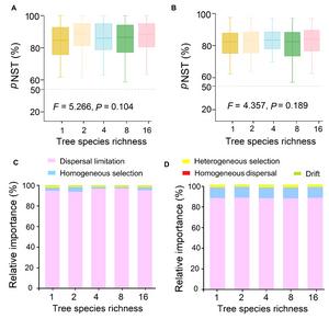 Figure 3  Community assembly of epiphytic (A, C) and endophytic (B, D) fungi at each plant species richness level