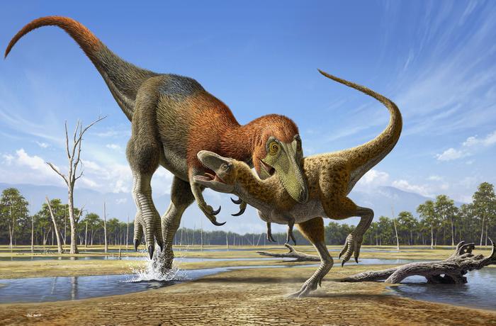 Artist illustration of Nanotyrannus attacking a juvenile T. rex
