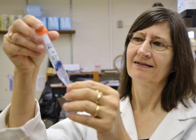 Terry Hrubec, Virginia-Maryland College of Veterinary Medicine