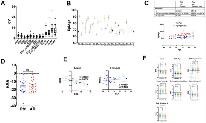 EpiAge: a next-generation sequencing-based ELOVL2 epigenetic clock for biological age assessment in saliva and blood across health and disease