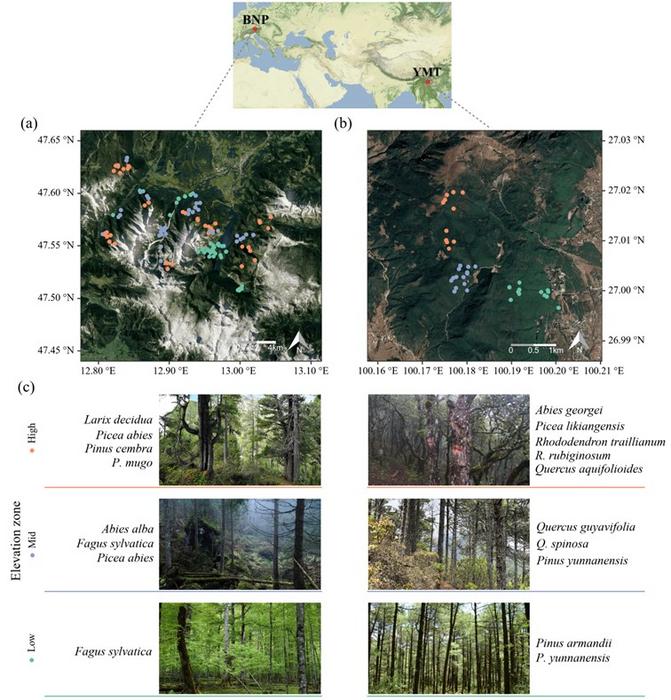 How biodiversity-productivity relationships c | EurekAlert!