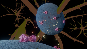 Illustration of glutamate transport in neural cells