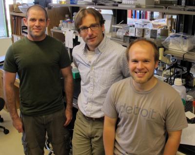 Understanding Actin Filament Formation