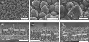 Scanning electron microscopy images of fabricated photoelectrode