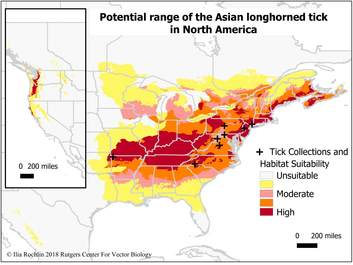Potential Range of the Asian Longhorned Tick in North America