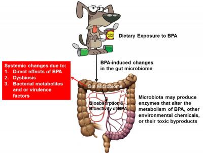 Bpa free hotsell canned dog food