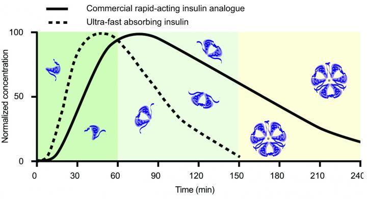 Ultrafast Insulin Formulation May Enable Faster Management of Blood Sugar in Diabetes (1 of 2)
