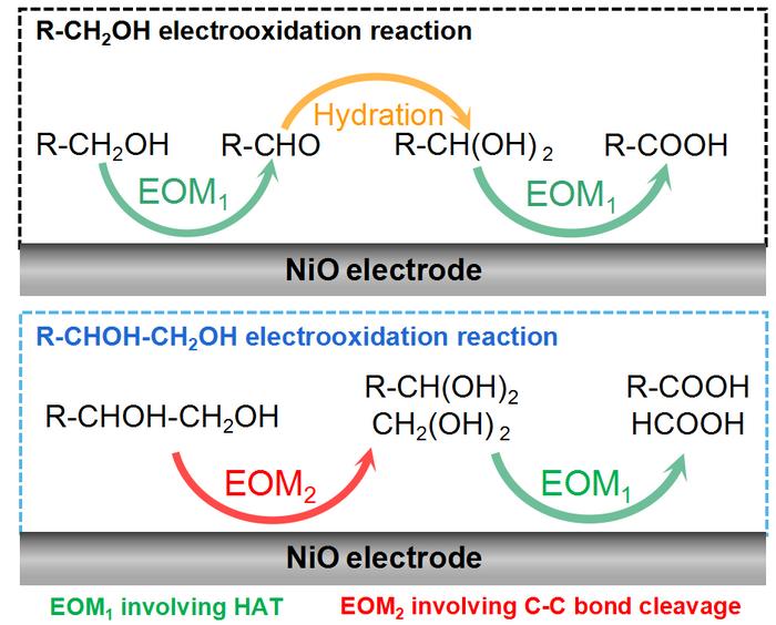 基于NiO电极的醇类电氧化反应机理示意图。