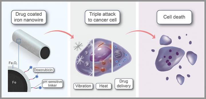 Iron Nanorobots Show Their True Mettle