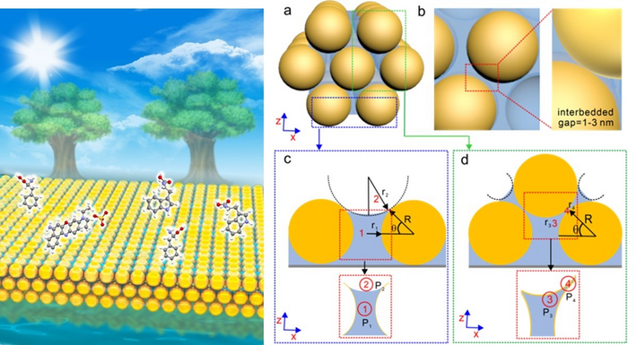 Novel SERS Method Developed to Capture Target Molecules