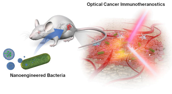Figure 1. Schematic illustration of nanoengineered bacteria-based optical cancer immunotheranostics.