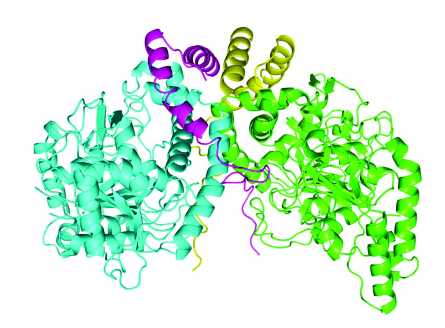 AztEG Protein Complex