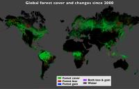 Worldwide Forest Cover