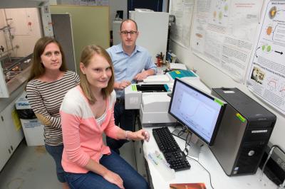 Designing 'Smart' Nanoparticles