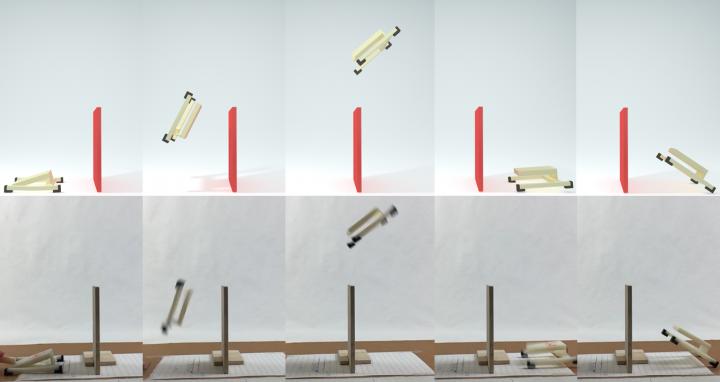 Somersaulting Simulation for Jumping Bots