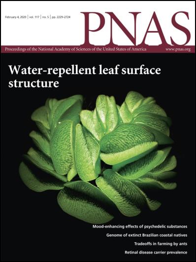 Figure 2. The Cover of PNAS Issue 5, 2020