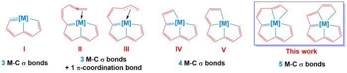 含3、4个共平面M-C σ键的已知典型骨架及该研究所描述骨架