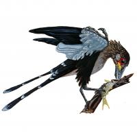 <i>Confuciusornis</i>, Prehistoric Bird of the Cretaceous