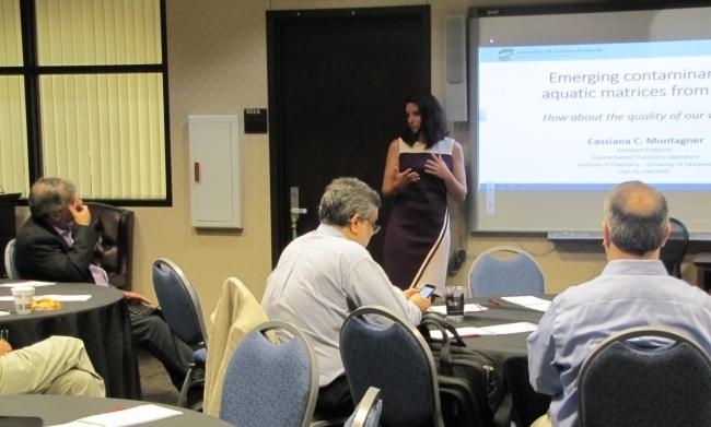 Cassiana Montagner, Fundação de Amparo à Pesquisa do Estado de São Paulo 