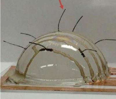 E-Whiskers and Wind Mapping