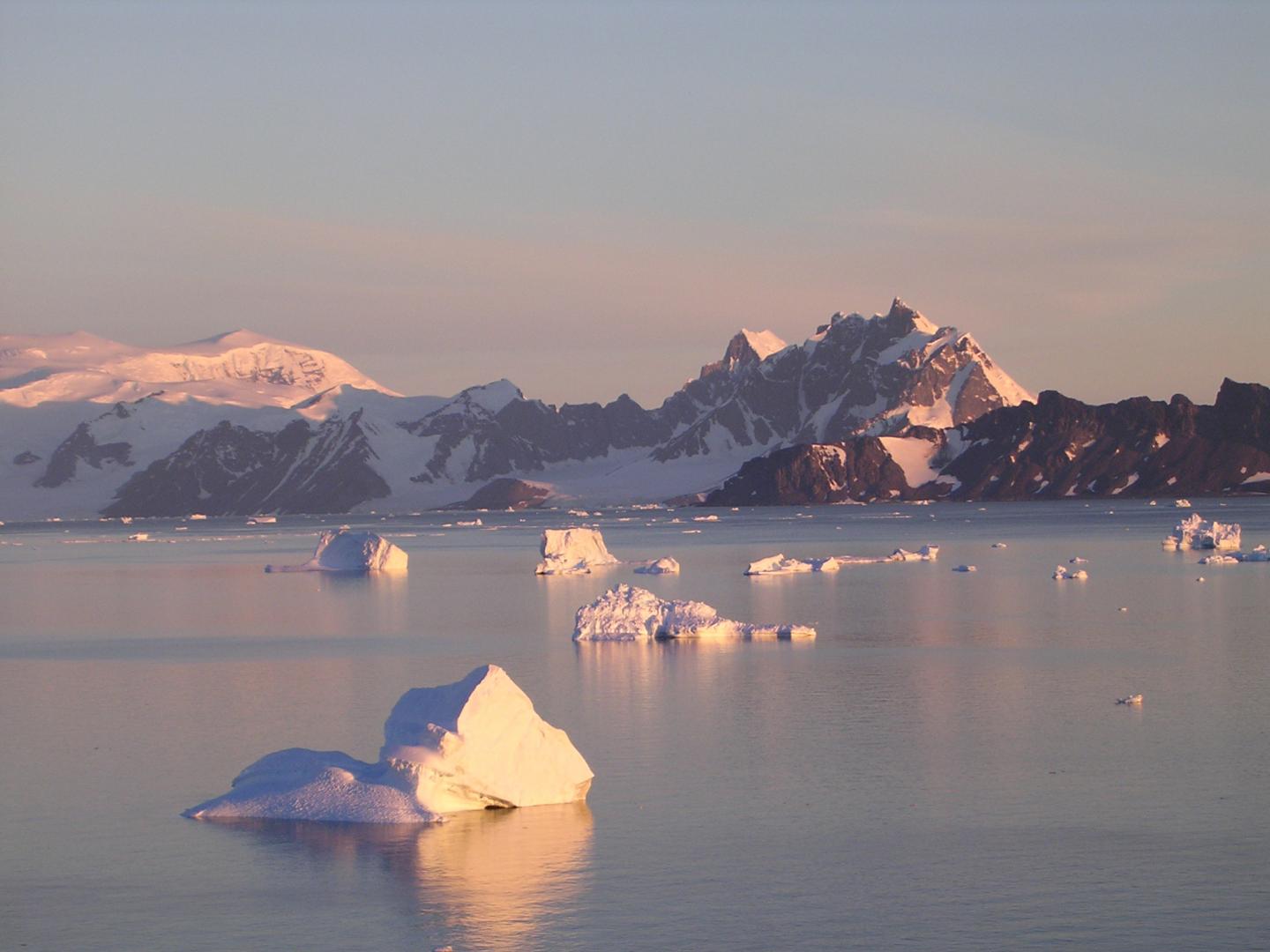 Antarctic Peninsula is in Hot Water (1 of 5)