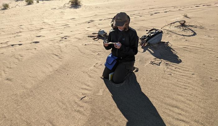 Berger on Dunes