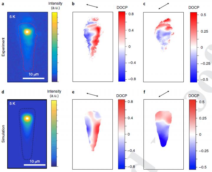 The Graph that Shows the Spatial Distribution of the Polarization of Light