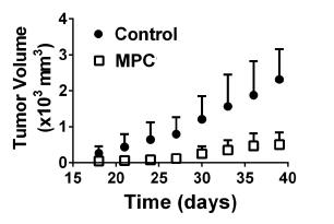 Mitochondrial Pyruvate Carrier