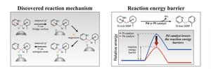 Uncovered dehydrogenation mechanism