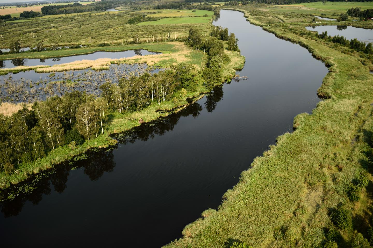 Peene River and Flooded Lands near Anklamer Stadtbruch, Germany