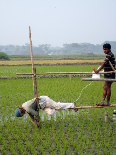 Rebecca Neumann, Massachusetts Institute of Technology
