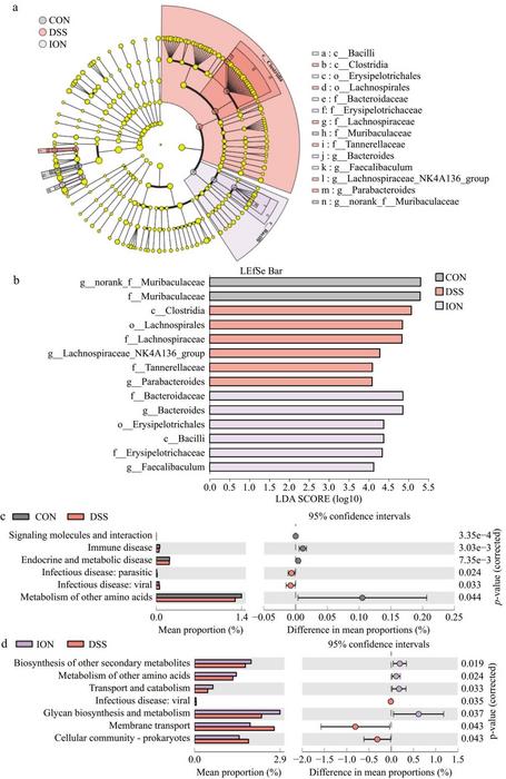 Figure 5. ION Supplementation [IMAGE] | EurekAlert! Science News Releases