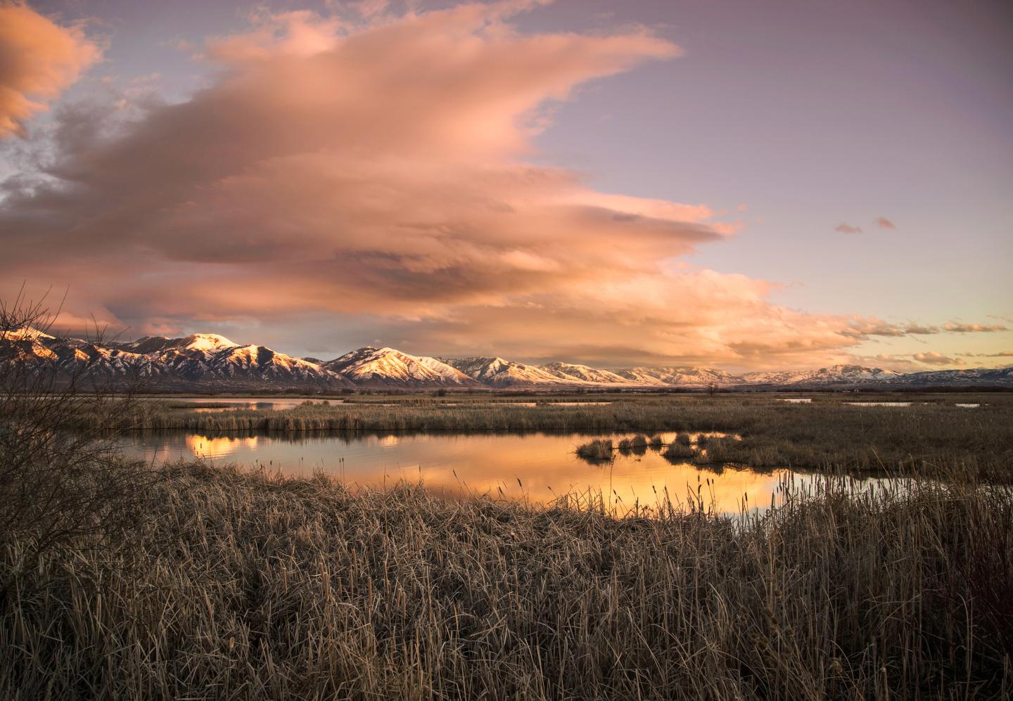 Improving Wetland Habitats