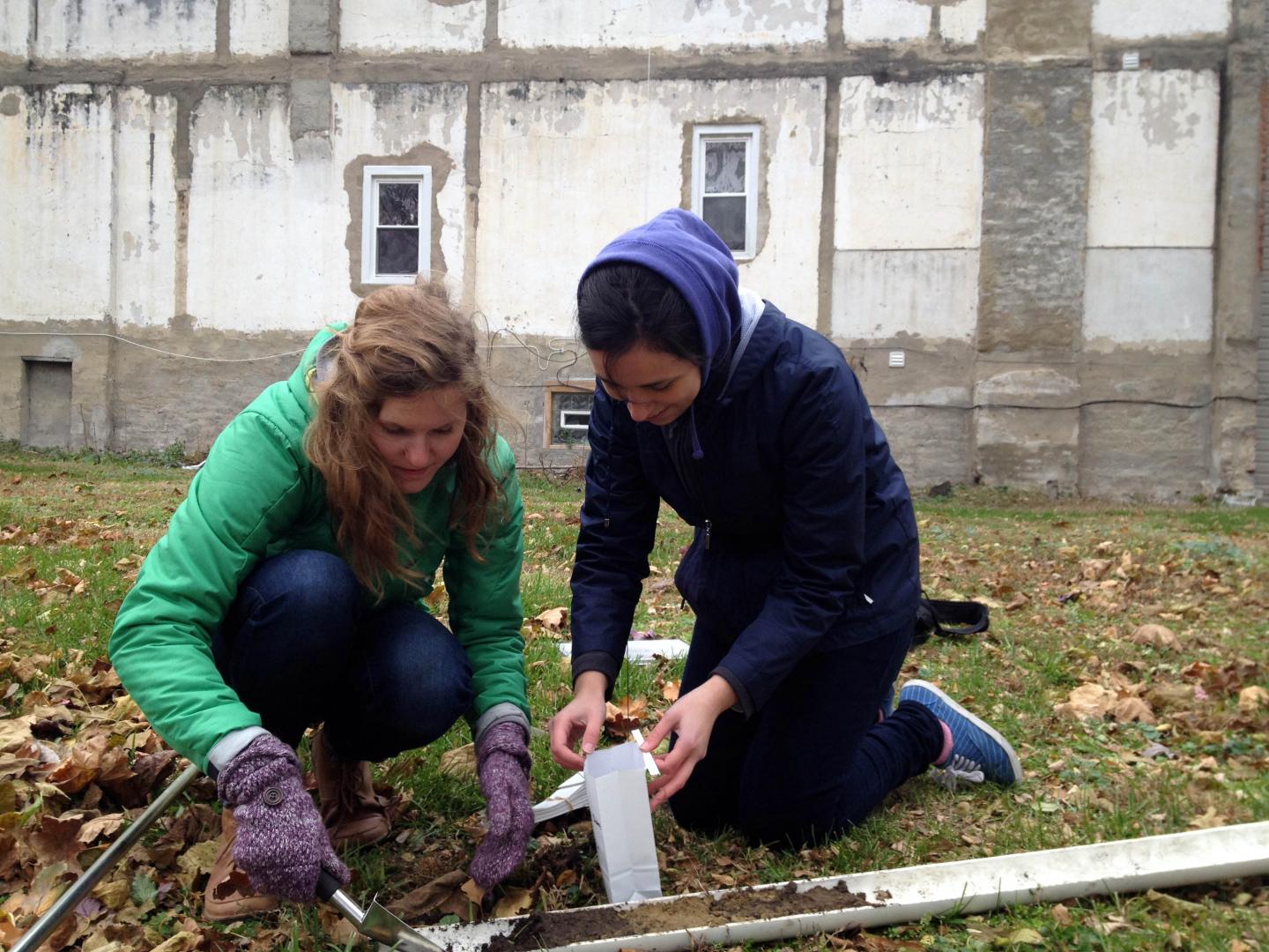 Gathering Urban Soil Samples for Testing